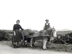 Two People with Donkey and Cart