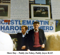 Show day, Paddy Joe fahy and Paddy Joyce