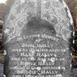 Headstone, Kilcummin Cemetery