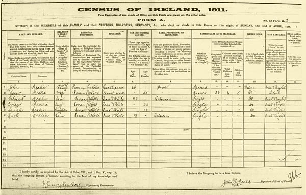 Census 1911. Melia family, Derrylaura