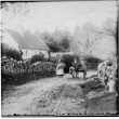 Donkey and cart on the Glann Road c.1860