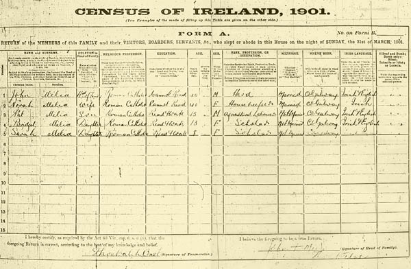 Census 1901. Melia family, Derrylaura