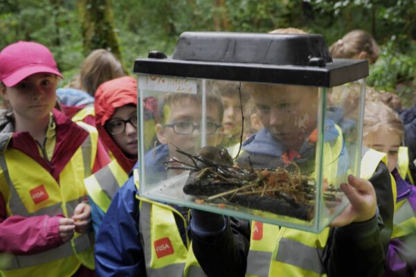 Go Wild Nature Camp, Oughterard Courthouse