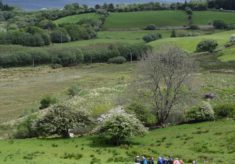 Corrib Ramblers