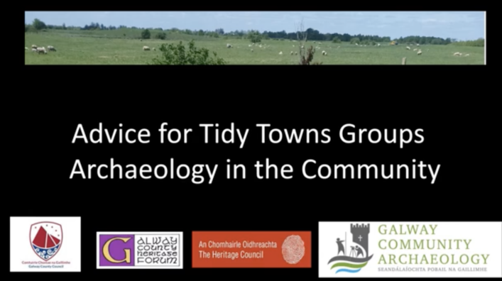 Archaeology in the Community Advice for Tidy Towns and Community Groups