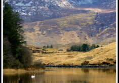 LAMENT FOR CONNEMARA