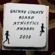 Galway County Board Athletics Awards 2018