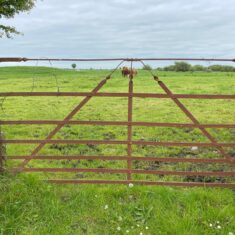 Oughterard Forged Gates
