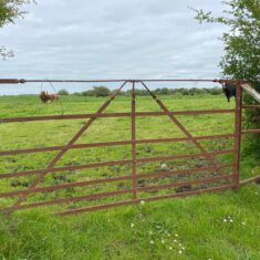 Oughterard Forged Gates