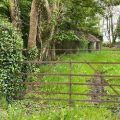Oughterard Forged Gates