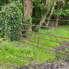 Oughterard Forged Gates