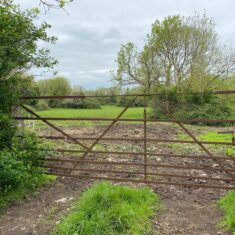 Oughterard Forged Gates