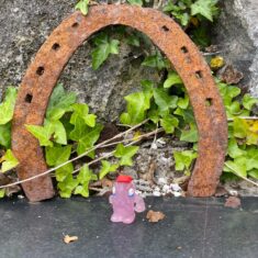 Oughterard Forged Gates