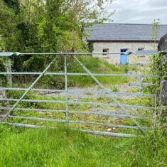 Oughterard Forged Gates