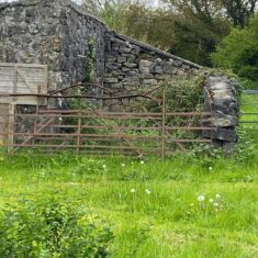 Oughterard Forged Gates