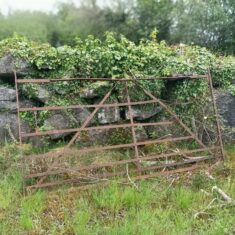 Oughterard Forged Gates