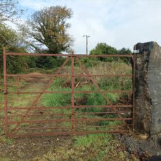 Oughterard Forged Gates