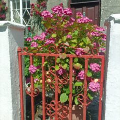 Oughterard Forged Gates