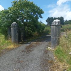 Oughterard Forged Gates