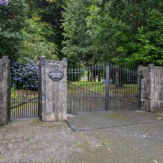 Oughterard Forged Gates