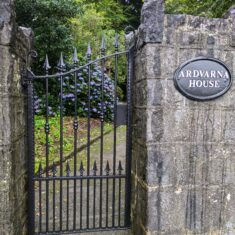 Oughterard Forged Gates