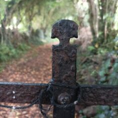Oughterard Forged Gates