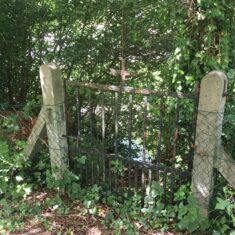 Oughterard Forged Gates