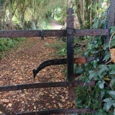 Oughterard Forged Gates