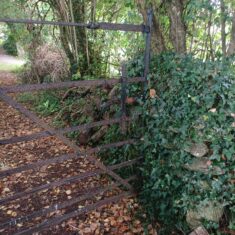 Oughterard Forged Gates