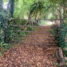 Oughterard Forged Gates