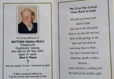 Healy, Matthew (Mattie)  -  Tullaghcoth