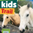 Oughterard Kids' Trail - Go Explore