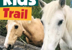 Oughterard Kids' Trail - For Kids by kids