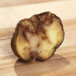 Where did the 'Potato Blight' originate?