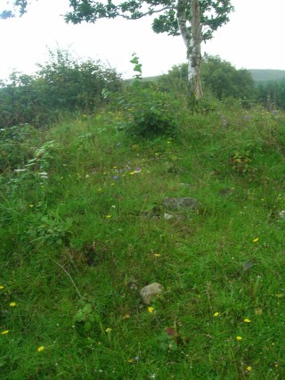 Cillin at Glengowla and Keogh's Bog