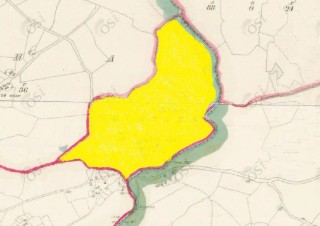 Townland of Drimneen highlighted in yellow