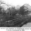 Fish Hatchery at Oughterard