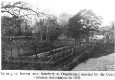 Fish Hatchery at Oughterard