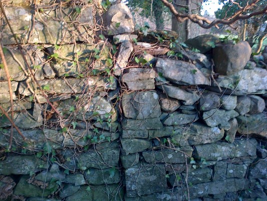 Shot of old forge wall (right) with newer shed wall abutting it (left)