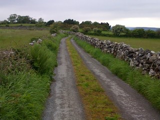 Single stone walls lining a road in Maghera