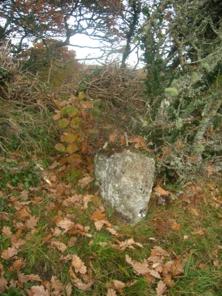 Cillin at Glengowla and Keogh's Bog