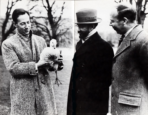 Noel Stevens,Halie Selassie the Emperor of Ethiopia and Ronald Stevens